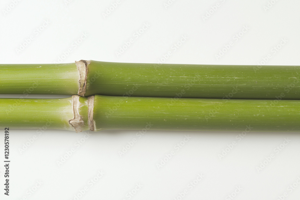 Fototapeta premium Serene Bamboo Duo: Two vibrant green bamboo stalks lie parallel, showcasing their smooth texture and natural knots. A minimalist image suggesting tranquility and natural harmony. 