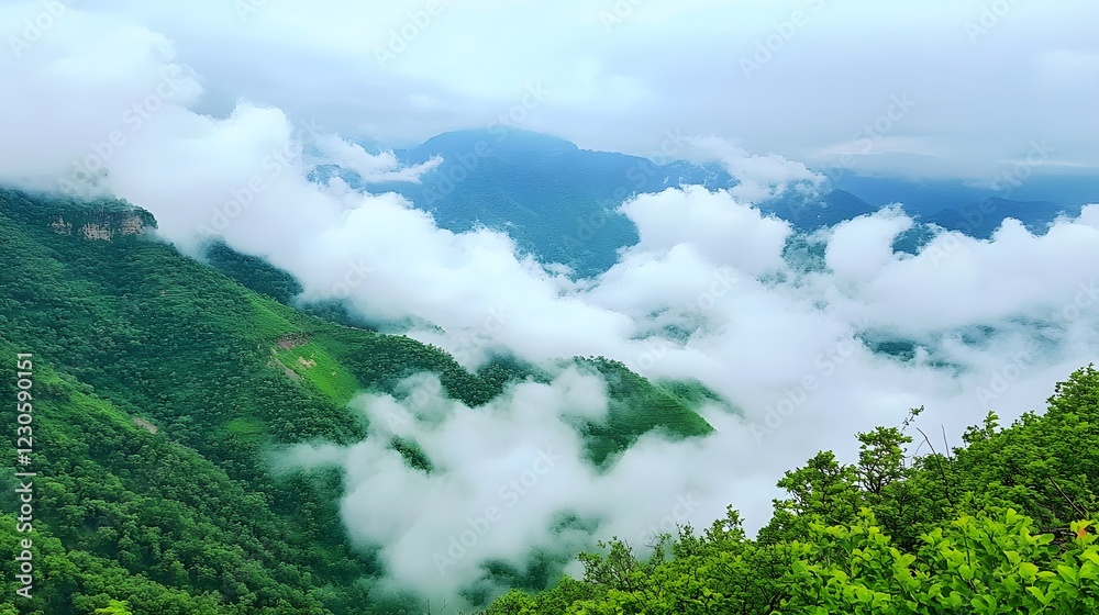Obraz premium Misty Mountain Landscape, Lush Green Hills Enveloped in Clouds