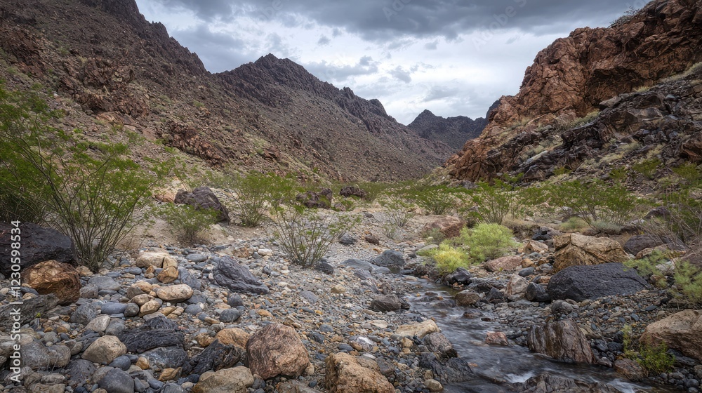 Dry rocky riverbed in a desert canyon under a stormy sky. Dry rocky riverbed in a desert canyon under a stormy sky.