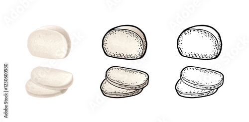 Mozzarella cheese half and slices. Vector color vintage engraving illustration isolated on white background.