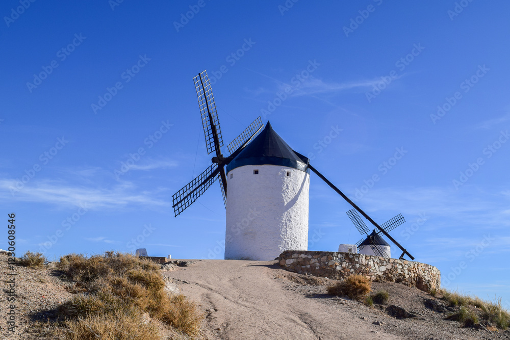 Si Don Quijote levantara la cabeza Si Don Quijote levantara la cabeza