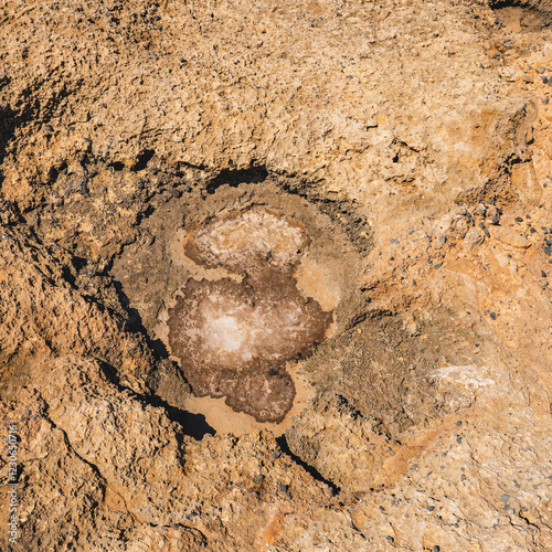 Detail of tafoni which are cavities that develop in granular rock photo