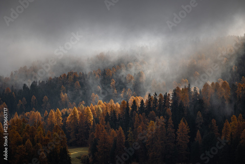 Herbstnebel bei St. Moritz