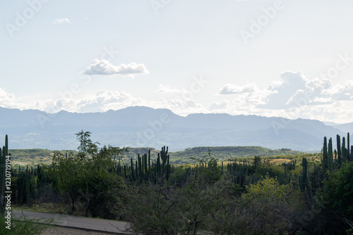 the Tatacoa Desert in Colombia, Huila, showcasing its arid landscape, eroded canyons, unique rock formations, and vibrant skies. Perfect for nature, travel, and adventure themes. photo