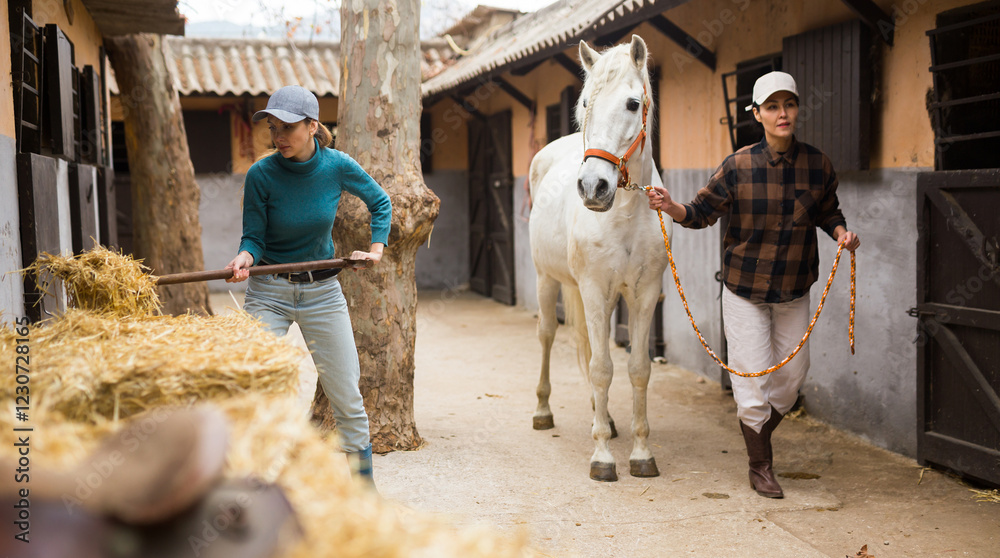Asian woman stable keeper leading white horse along stalls outdoor while young female worker stacking hay in yard.. Asian woman stable keeper leading white horse along stalls outdoor while young female worker stacking hay in yard..