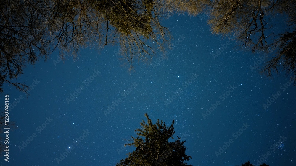 Milky way night scene, universe background, astronomy wallpaper, stars in the sky