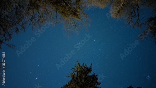 Obraz na płótnie Milky way night scene, universe background, astronomy wallpaper, stars in the sky w salonie