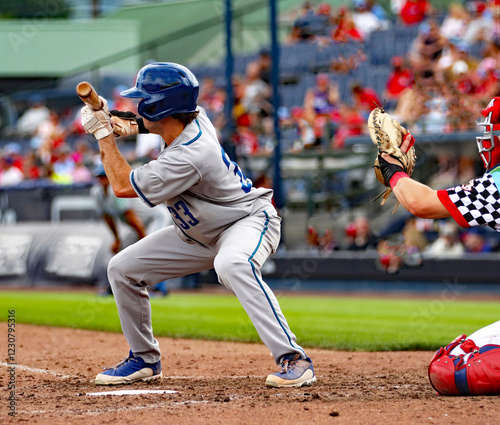Canvas Print #33 baseball player bunting