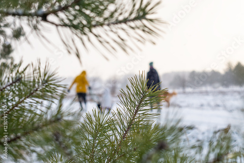 Winter scenery with secret view of family while walking with a dog and a sleigh ride photo