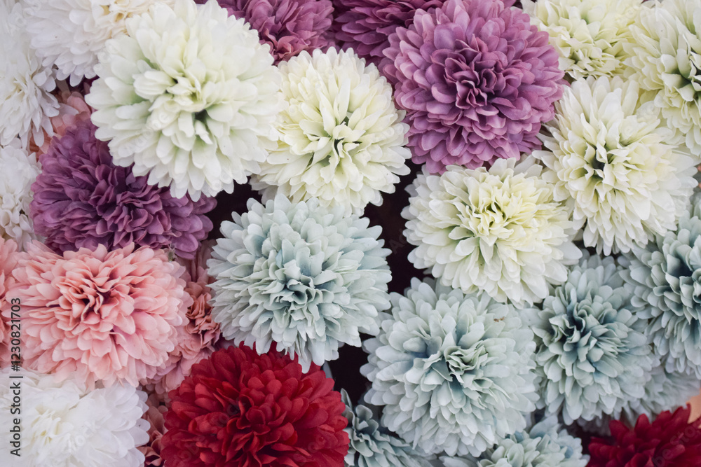 a cluster of chrysanthemums in various colors, such as red, white, purple, pink, and pale green. These flowers are arranged closely together. a cluster of chrysanthemums in various colors, such as red, white, purple, pink, and pale green. These flowers are arranged closely together.