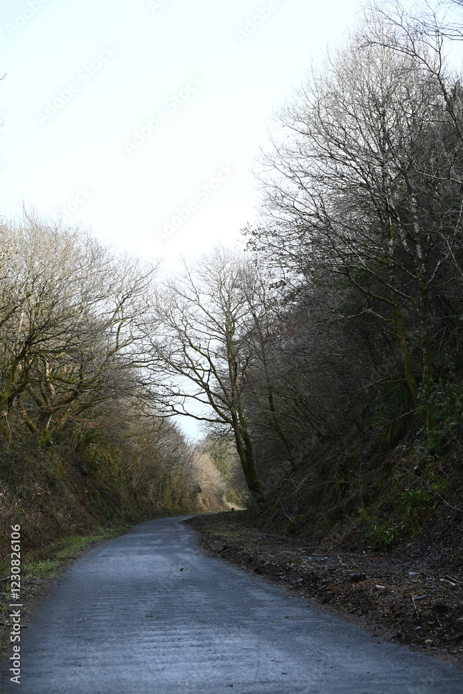 a walk on the granite way in Devon, a cycle route that was once a railway traveling though Dartmoor near Meldon a walk on the granite way in Devon, a cycle route that was once a railway traveling though Dartmoor near Meldon