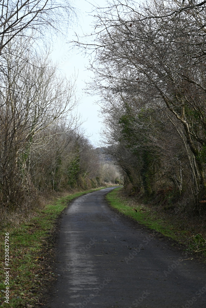 a walk on the granite way in Devon, a cycle route that was once a railway traveling though Dartmoor near Meldon a walk on the granite way in Devon, a cycle route that was once a railway traveling though Dartmoor near Meldon