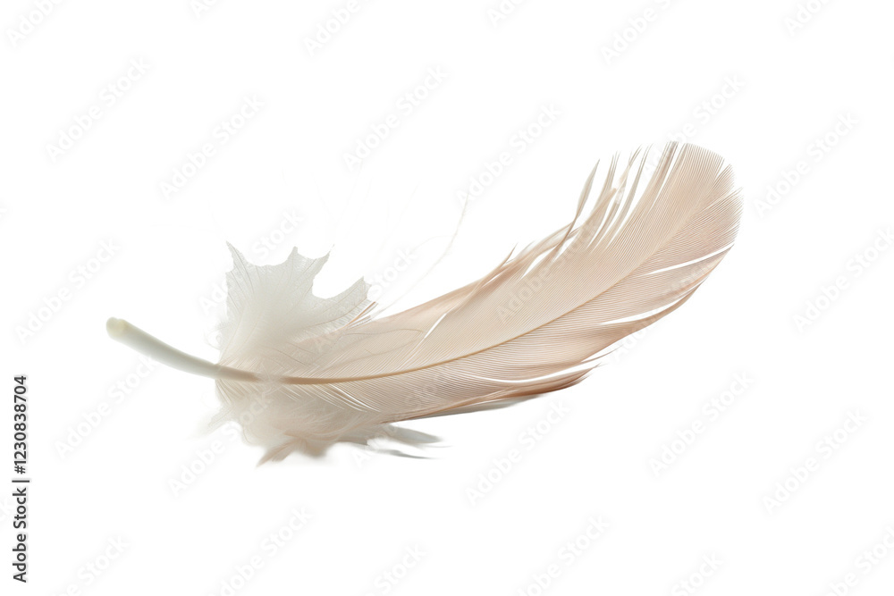 Obraz premium Floating White Feather Isolated on Transparent Background, Delicate and Soft With Graceful Curves, Symbolizing Purity and Lightness