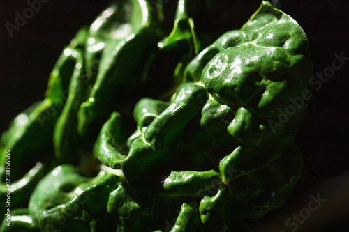 Closeup of the surface of a piece of chard against a black background photo