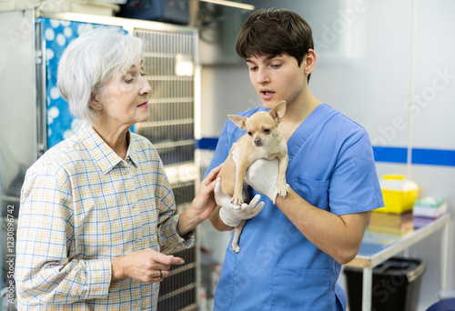 Guy professional veterinarian communicate with senior woman pet owner with Chihuahua, explains principle goals of treatment, calms convinces to entrust treatment of animal, give preference to clinic photo