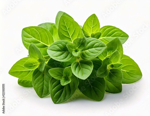 Oregano or marjoram leaves isolated on white background