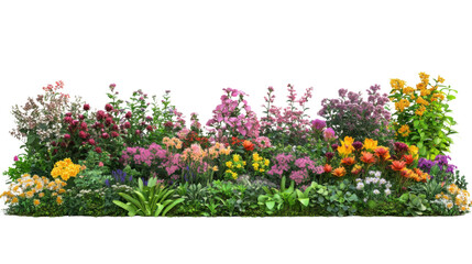 Colorful flower bed blooming with various flowers and plants on transparent background