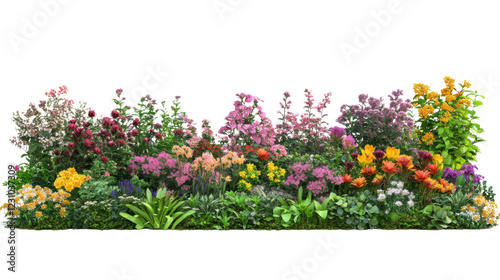 Fototapeta Naklejka Na Ścianę i Meble -  Colorful flower bed blooming with various flowers and plants on transparent background