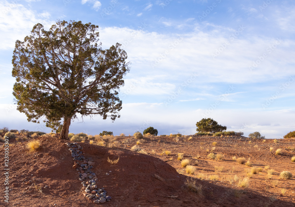 Lonely Tree of Monument Valley Tribal Park, Arizona, USA, November 5th 2024 Lonely Tree of Monument Valley Tribal Park, Arizona, USA, November 5th 2024