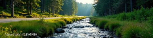 A stream babbles beside the highway through a lush pine forest, forest, terrain photo