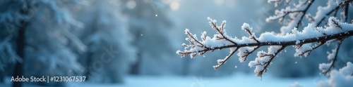 Frosty white snowflakes cling to the boughs of a bare Christmas tree against a frosty backdrop, frosty branches, winter landscape