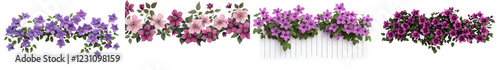 Vibrant Blooming Floral Arrangement with Purple and Pink Flowers on White Fence