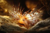 Colorful marine creature with vibrant fins in underwater habitat