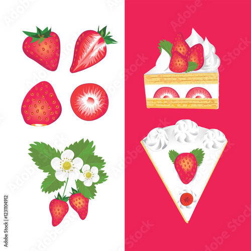 벡터_딸기_strawberry