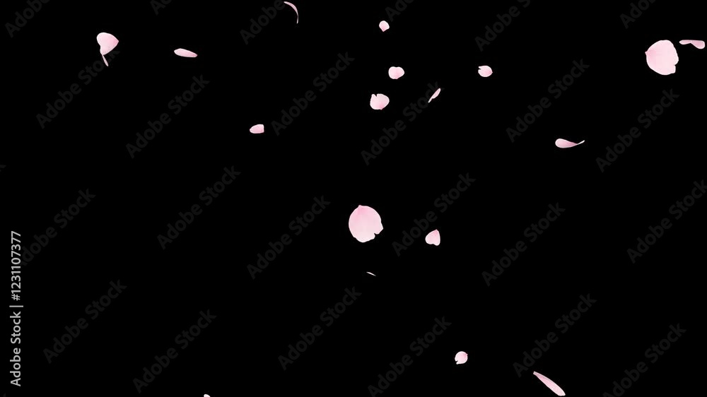 Cherry Blossom Petals Falling Loop. 3D Render. Soft pink cherry blossom petals gently fall in a seamless loop with an alpha channel, perfect for romantic and seasonal projects.