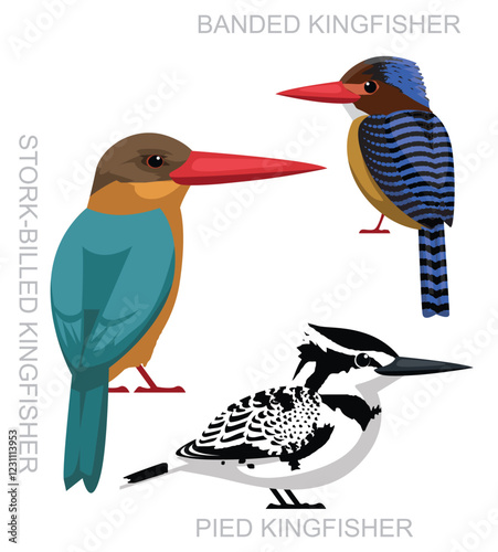 Bird Pied Kingfisher Asia Set Cartoon Vector