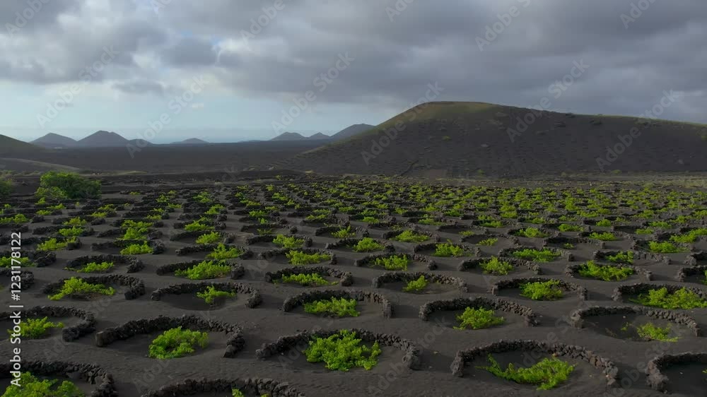 Aerial drone view of mountain sea and volcanoes in Lanzarote, Canary Islands, Spain