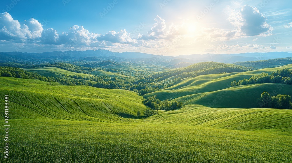 Serene Rolling Hills Landscape Under a Sunny Sky Serene Rolling Hills Landscape Under a Sunny Sky