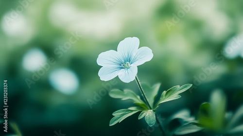Serene Bloom: A Single Pale Blue Flower in a Lush Green Garden