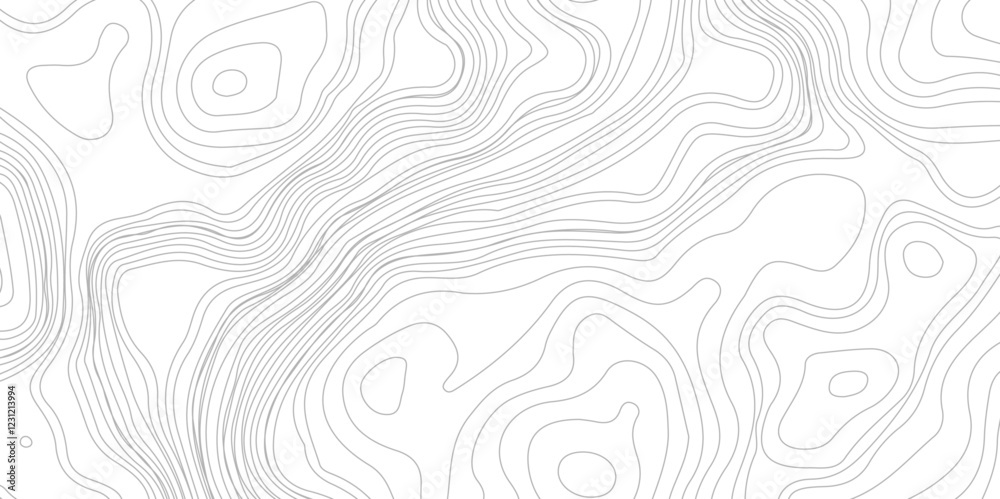 Fototapeta premium Topography background. Vector banner. Topography background. Vector geographic contour map. Background of the topographic map.