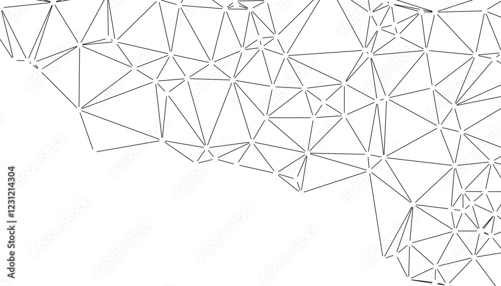 Abstract Black and White Polygonal Network Background with Connected Dots and Lines for Digital Applications Abstract Black and White Polygonal Network Background with Connected Dots and Lines for Digital Applications