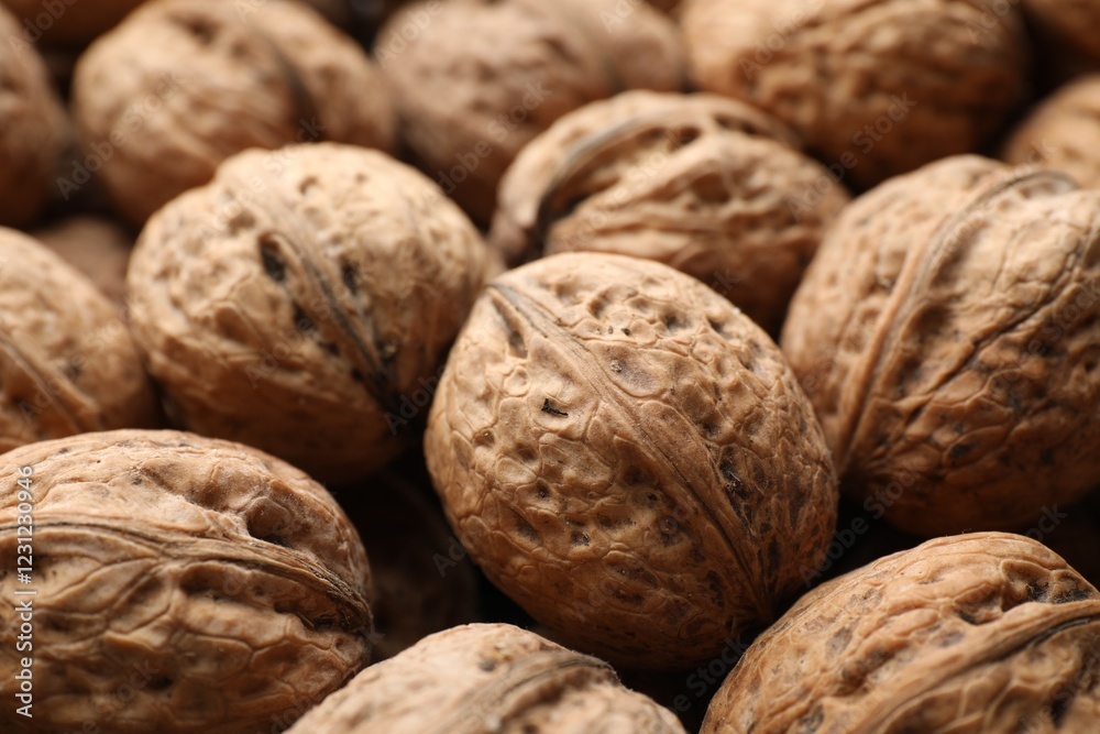 Fresh walnuts in shells as background, closeup Fresh walnuts in shells as background, closeup