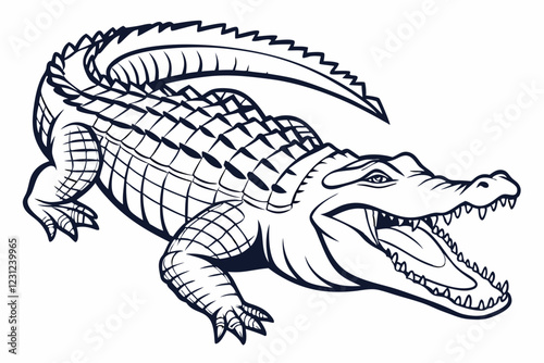 crocodile isolated on white background