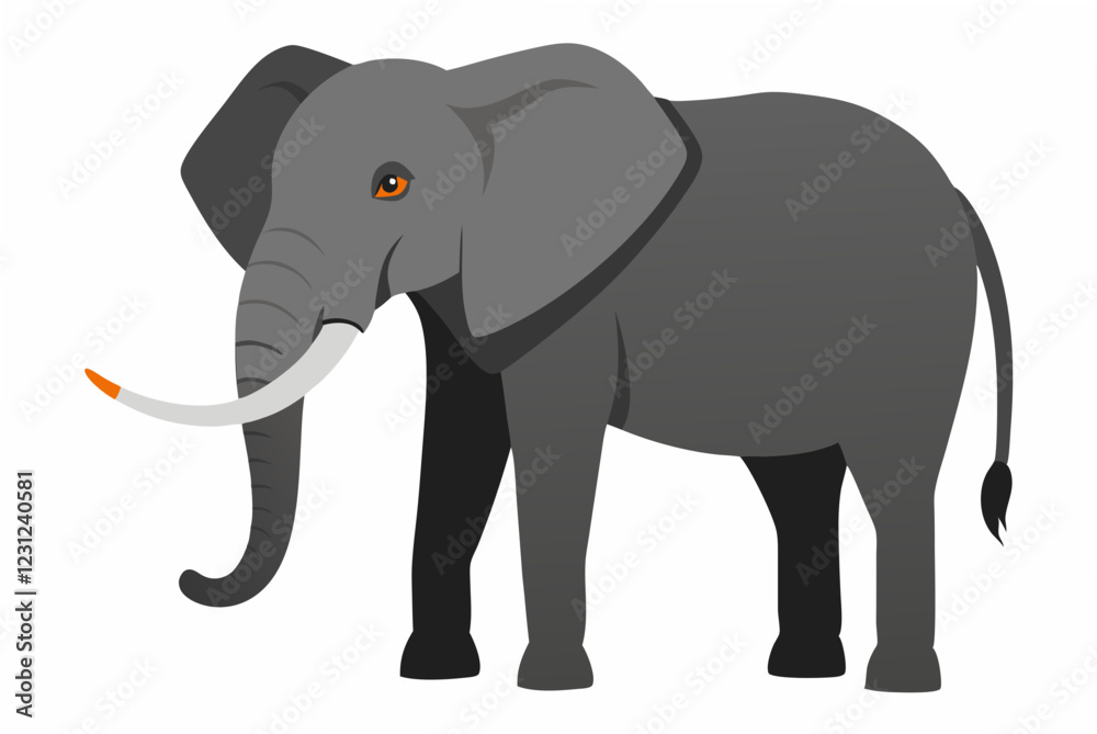 elephant isolated on white elephant isolated on white