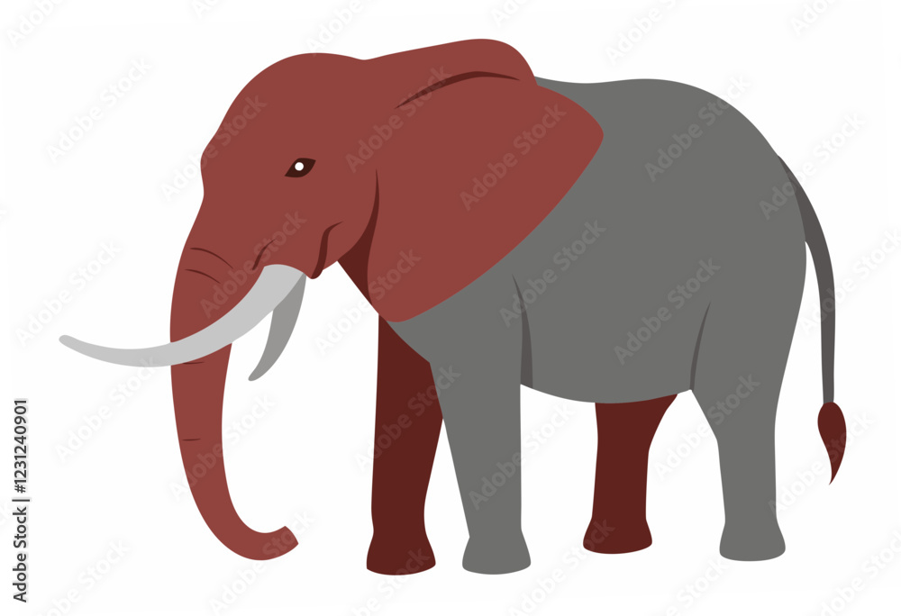 elephant isolated on white background elephant isolated on white background