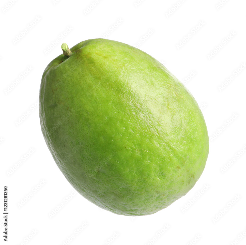 One fresh guava fruit isolated on white One fresh guava fruit isolated on white