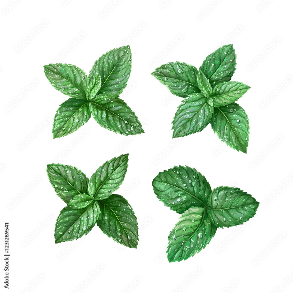 Set of fresh mint leaves in minimalist flat design Set of fresh mint leaves in minimalist flat design