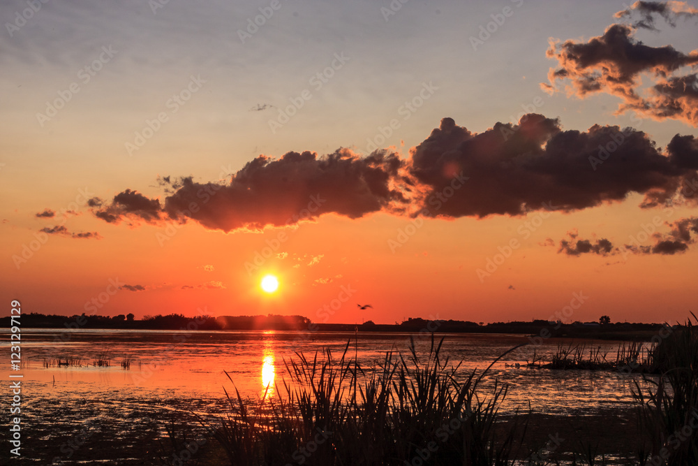 A sunset over a lake with a bird flying in the sky A sunset over a lake with a bird flying in the sky