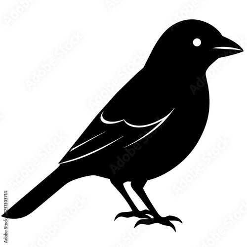 illustration of a bird