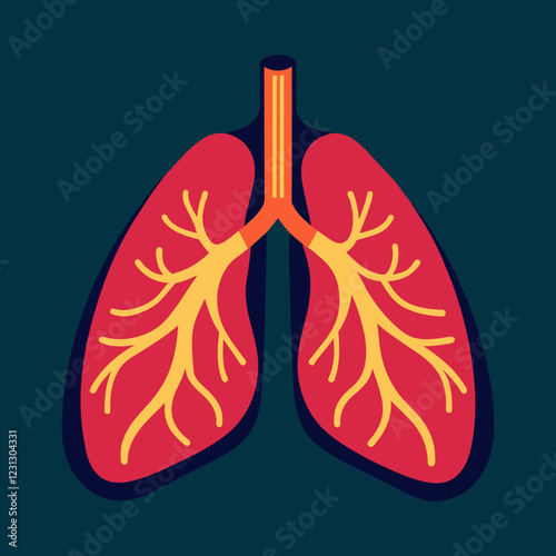 illustration of human organs
