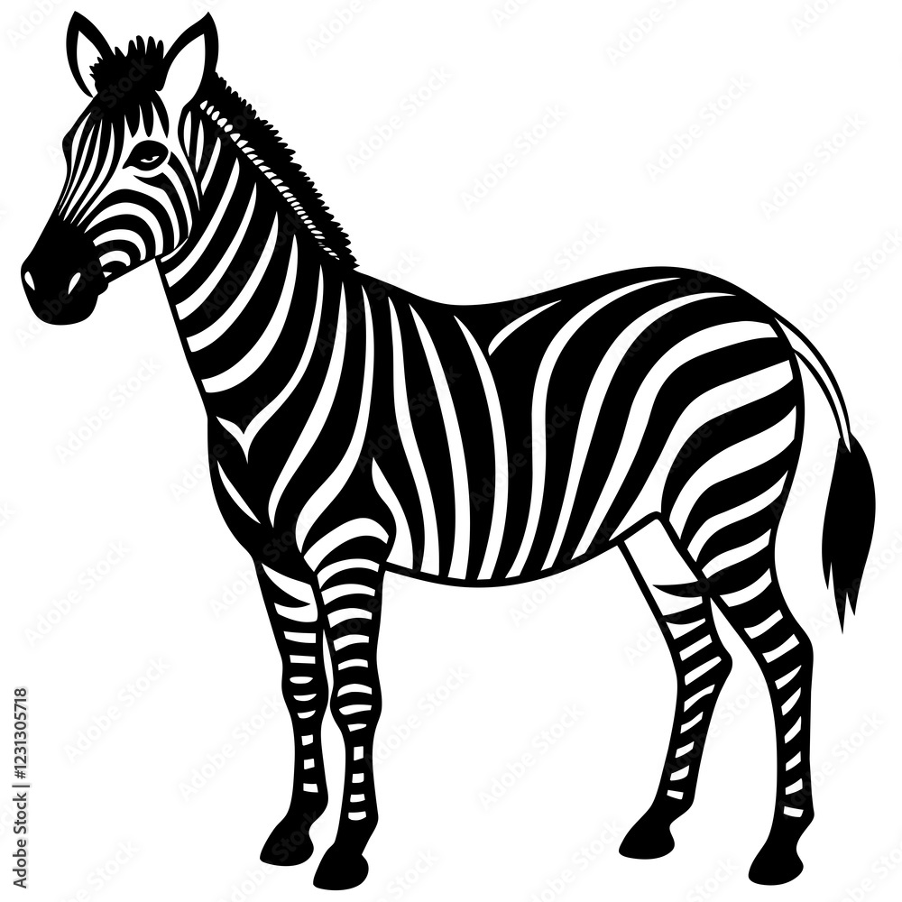 Obraz premium zebra vector illustration