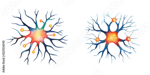 Colorful Neuron Drawing with Branches and Synapses for Science