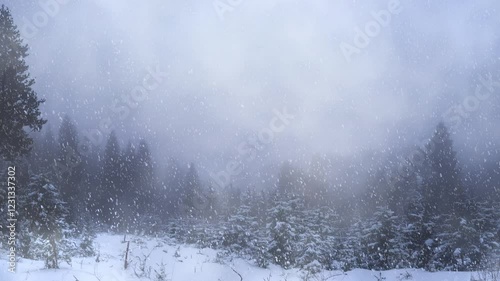 Stormy snowy foggy mountain landscape, majestic Forest Covered in Mist and Shrouded by Clouds - looped 4K