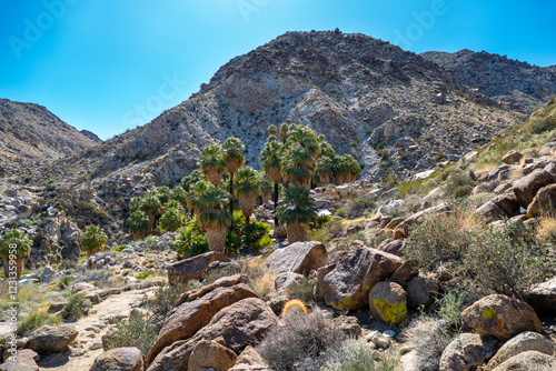 Joshua Tree National Park Hiking Trail Landscape Series, Fortynine Palms Oasis Trail entrance, and rugged rocks and hills, in Twentynine Palms, Southern California, USA