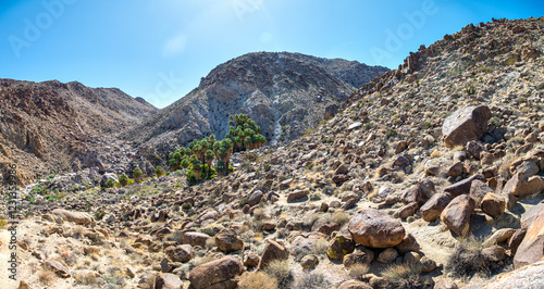 Joshua Tree National Park Hiking Trail Landscape Series, Fortynine Palms Oasis Trail entrance, and rugged rocks and hills, in Twentynine Palms, Southern California, USA photo