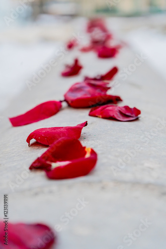 A striking composition featuring deep red rose petals scattered along a cold, industrial pipe in a snowy outdoor setting. The contrast between the delicate petals and the rough